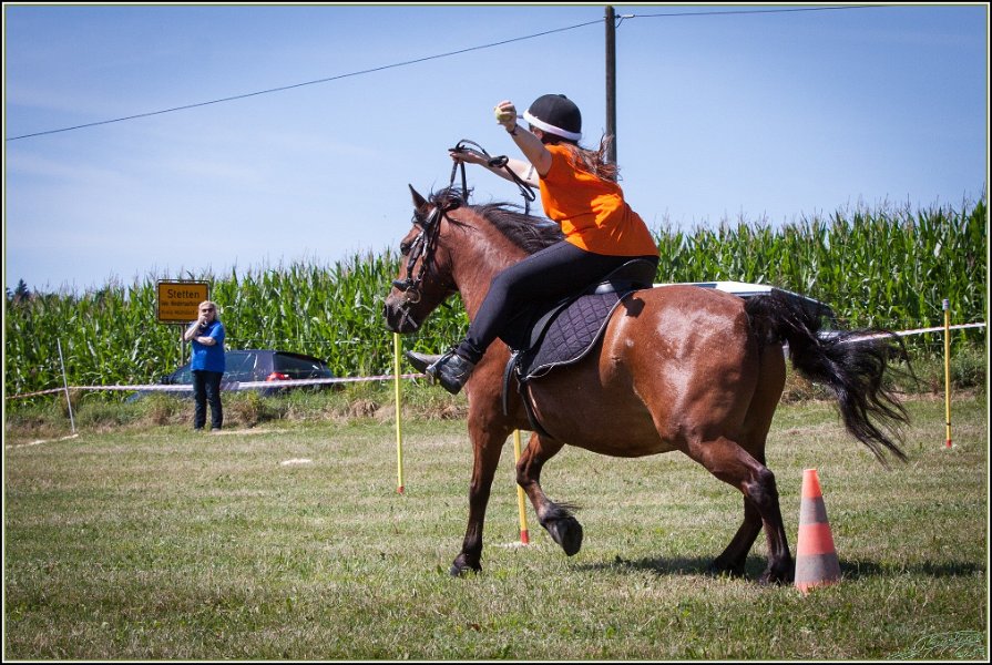 Mounted Games 134